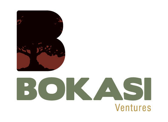 BOKASI Ventures logo